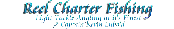 reelchartersfishing